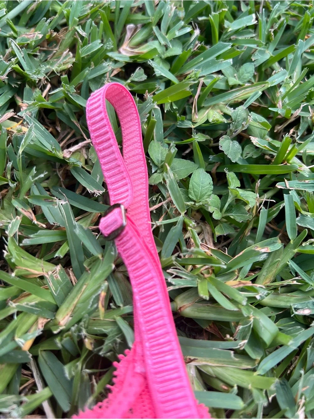 Lov neon pink